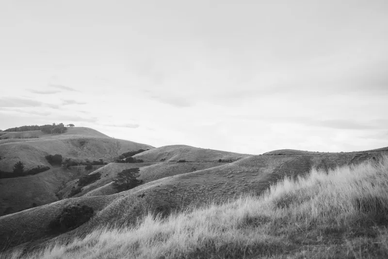 The Land Has Always Been Speaking: How Aotearoa's Indigenous Artists Are Changing the Way Australians Listen
